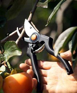 Fiskars Professionell sekatör