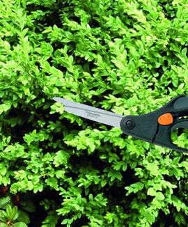 Fiskars floristsax