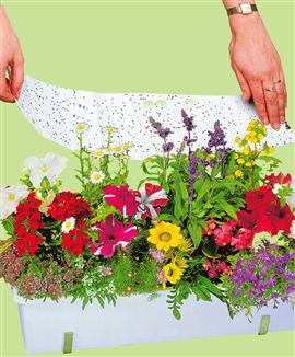 Frömatta till blomlådor med blandade fröer