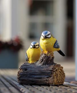 Kvittrande blåmesar sittande på stubbe