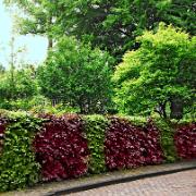 Bokhäck i rött och grönt