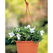 Set med 3 hängkrukor i plast