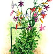 Växtstöd av metall