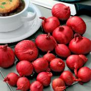 Röd Schalottenlök 'Red Sun'