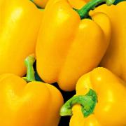 Paprika 'Paso doble F:1 hybrid'