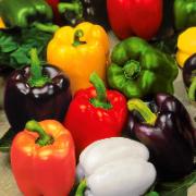 Kombinationserbjudande: 
Paprika i 6 sorter