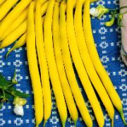 Salladsböna 'Gondola'