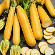 Courgette 'Gold Rush F:1 hybrid'