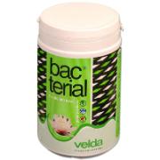 Bacterial för dammen