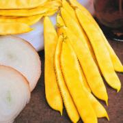 Skärböna 'Rheingold'