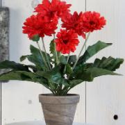 Gerbera, röd 35 cm - Konstväxt