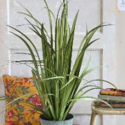 Prydnadsgräs i zinkkruka, höjd 88 cm - Konstväxt