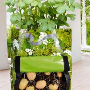 Odlingspåse för potatis 'Urban Gardening'