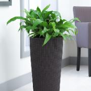 CILINDRO  Cottage® brun