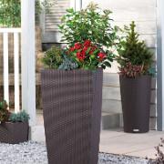 CUBICO Cottage® brun