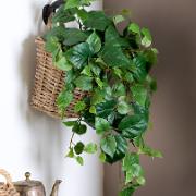 Klätterkalla - Konstgjord växt