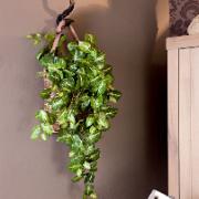 Pilspetsranka - Konstgjord växt