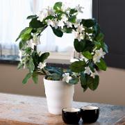 Doftranka - Konstgjord växt