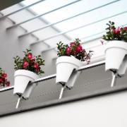 Pure® Round Flower Bridge vit