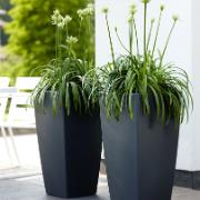 Pure® Soft Square High - antracit