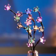 Blomkvist med belysning som ändrar färg