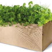 Terrassträdgård med blandade kryddor