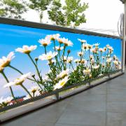 Balkongpresenning - Margriter