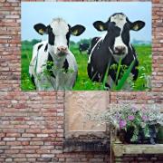 Trädgårdsmålning - Kor