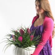 Blå tillandsia 'Anita'