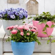 Glow-in-the-Dark kruka