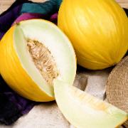 Honungsmelon 'Canarische Gele'