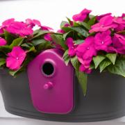 Elho® Birdgarden