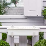 Balkonglåda Greenbasics Vit - Unga plantor