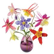 Flat Flowers fönsterstickers 'Akleja'