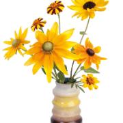 Flat Flowers fönsterstickers 'Solrosor'