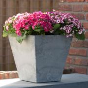 Artstone Ella blomkruka – Grå