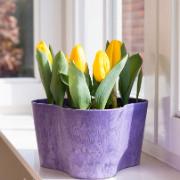 Artstone Claire triangel blomkruka – Grape