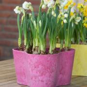 Artstone Claire triangel blomkruka – Rosa