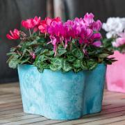 Artstone Claire triangel blomkruka – Aqua