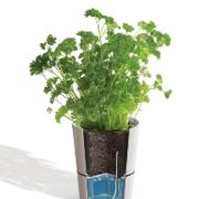 Rosti Mepal® örtkruka