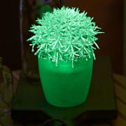 Svärmors kudde 'Glow-in-the-Dark' med kruka