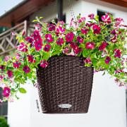 NIDO Cottage® - mocca