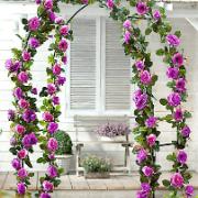 2 Klätterrosor 'Indigoletta' Med Rosenbåge