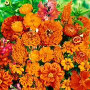 Frömatta för en orange rabatt