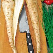 Fröband med Palsternacka 'Guernsey'