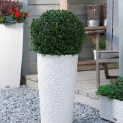 CILINDRO Cottage® vit